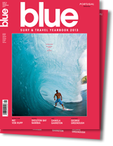 blue2013 web