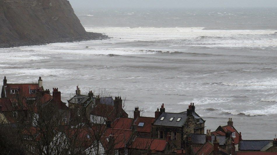 Yorkshire Bluemag Swell 1