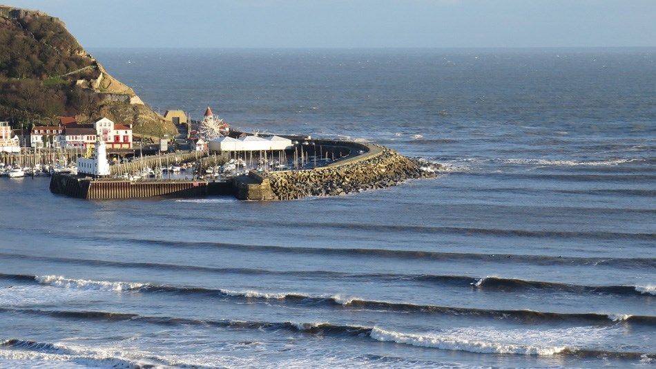 Yorkshire Bluemag Swell 4