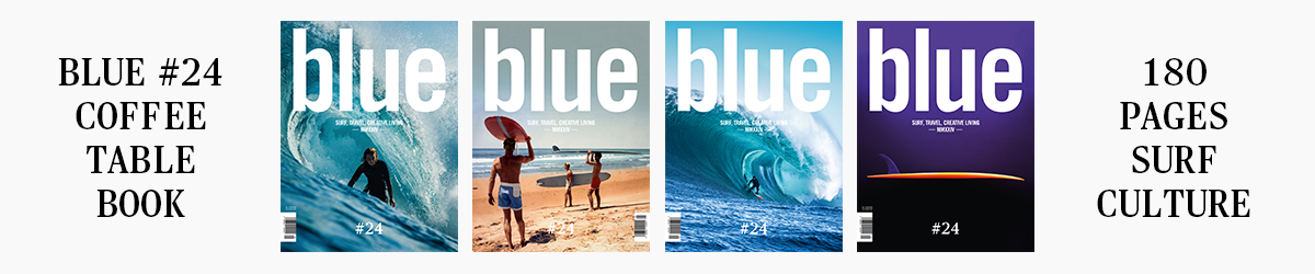 Blue 2024 all covers article banner