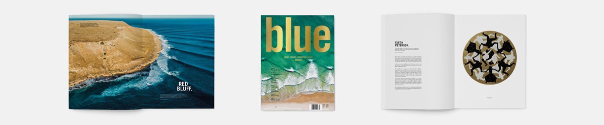 Blue Yearbook online kaufen
