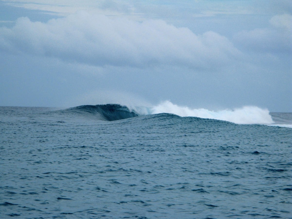 Endo Surf Bluemag