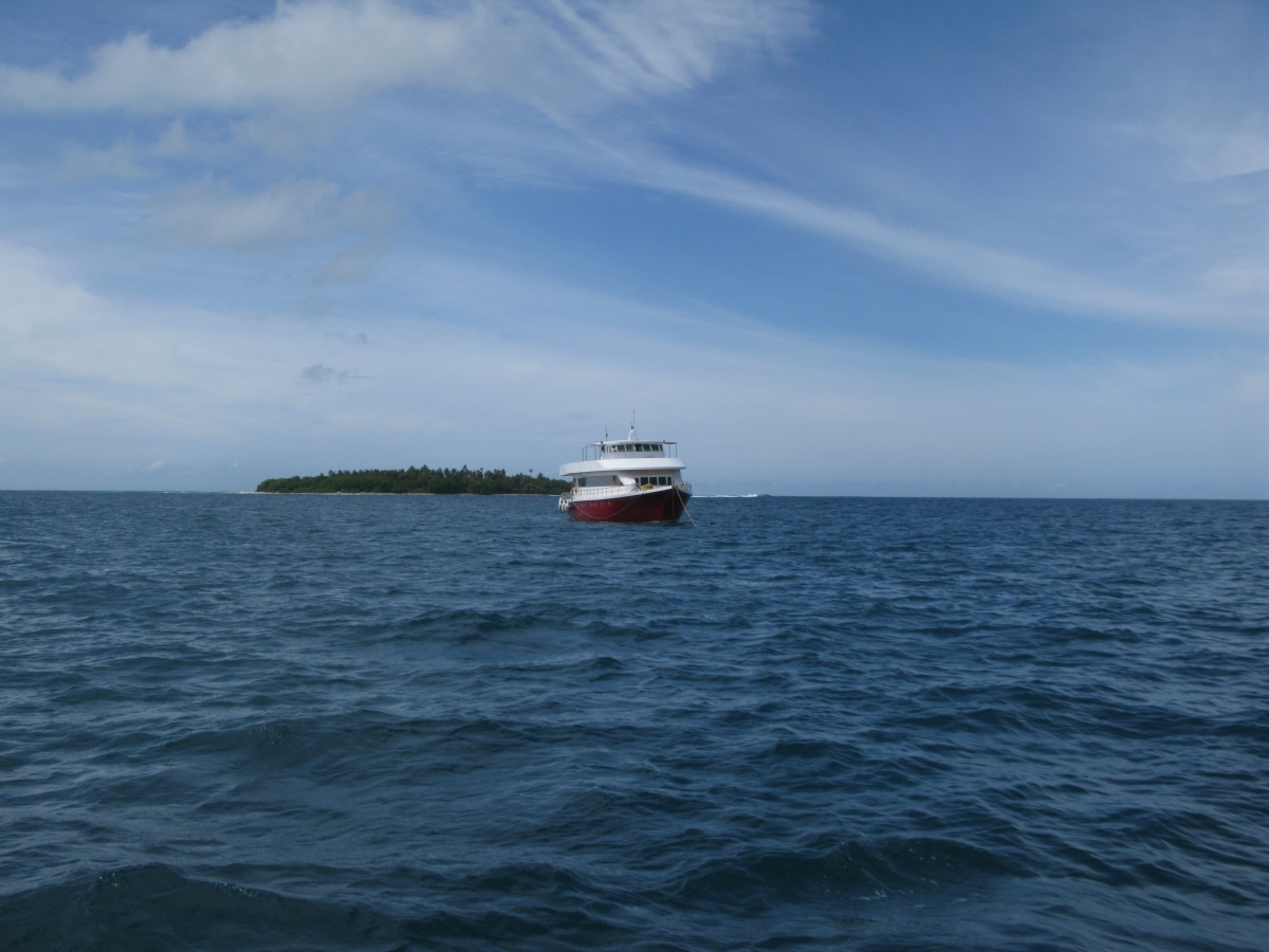 Endo Surf Boattrip