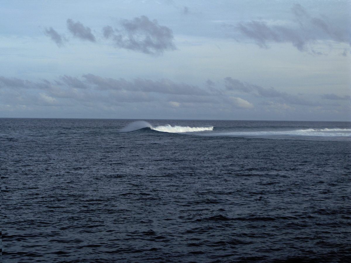 Endo Surf Malediven
