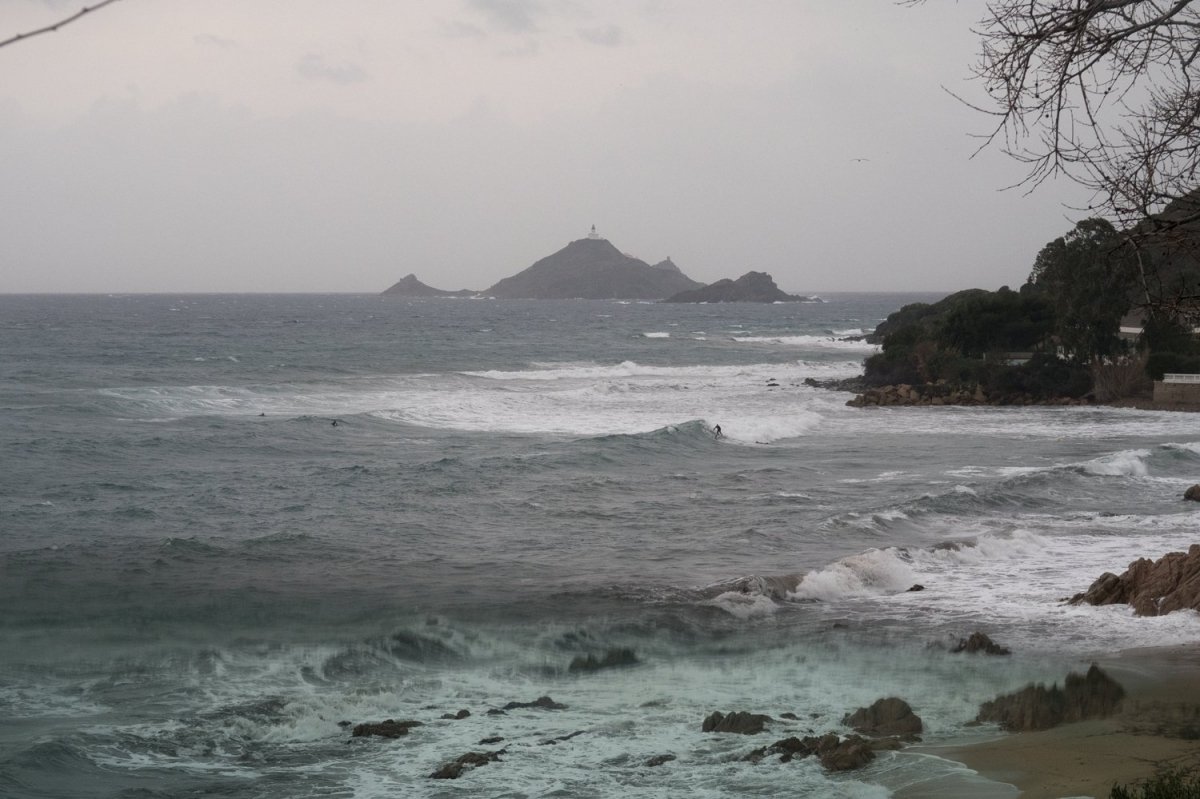 Korsika Moorea