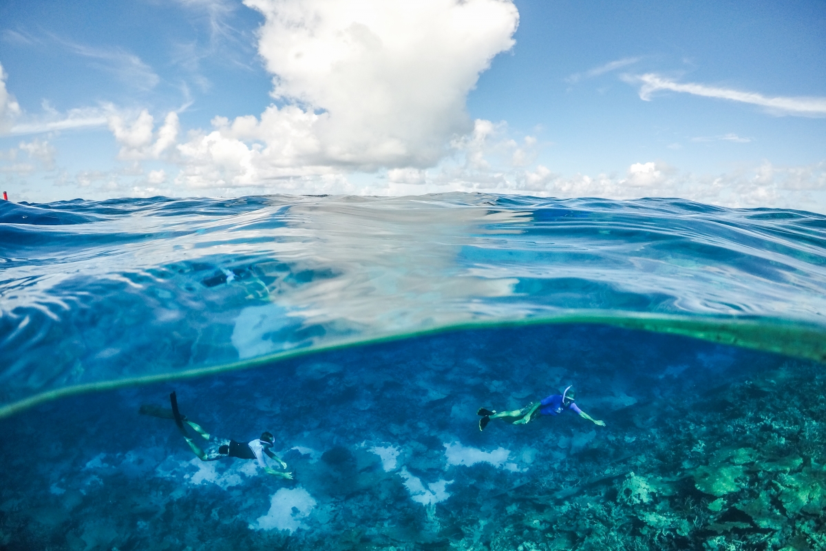 Maldives Layday Freedive