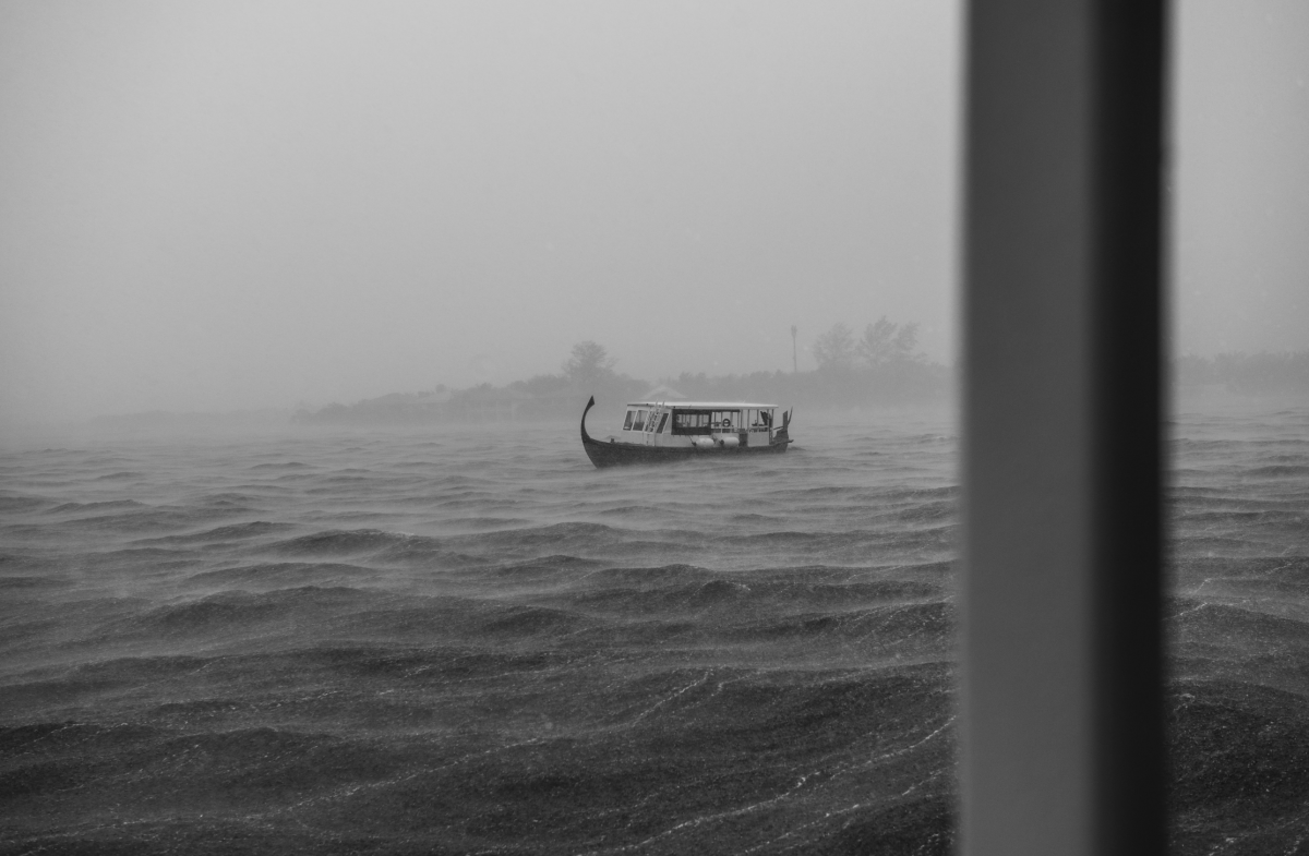 Mighty Otter Storm