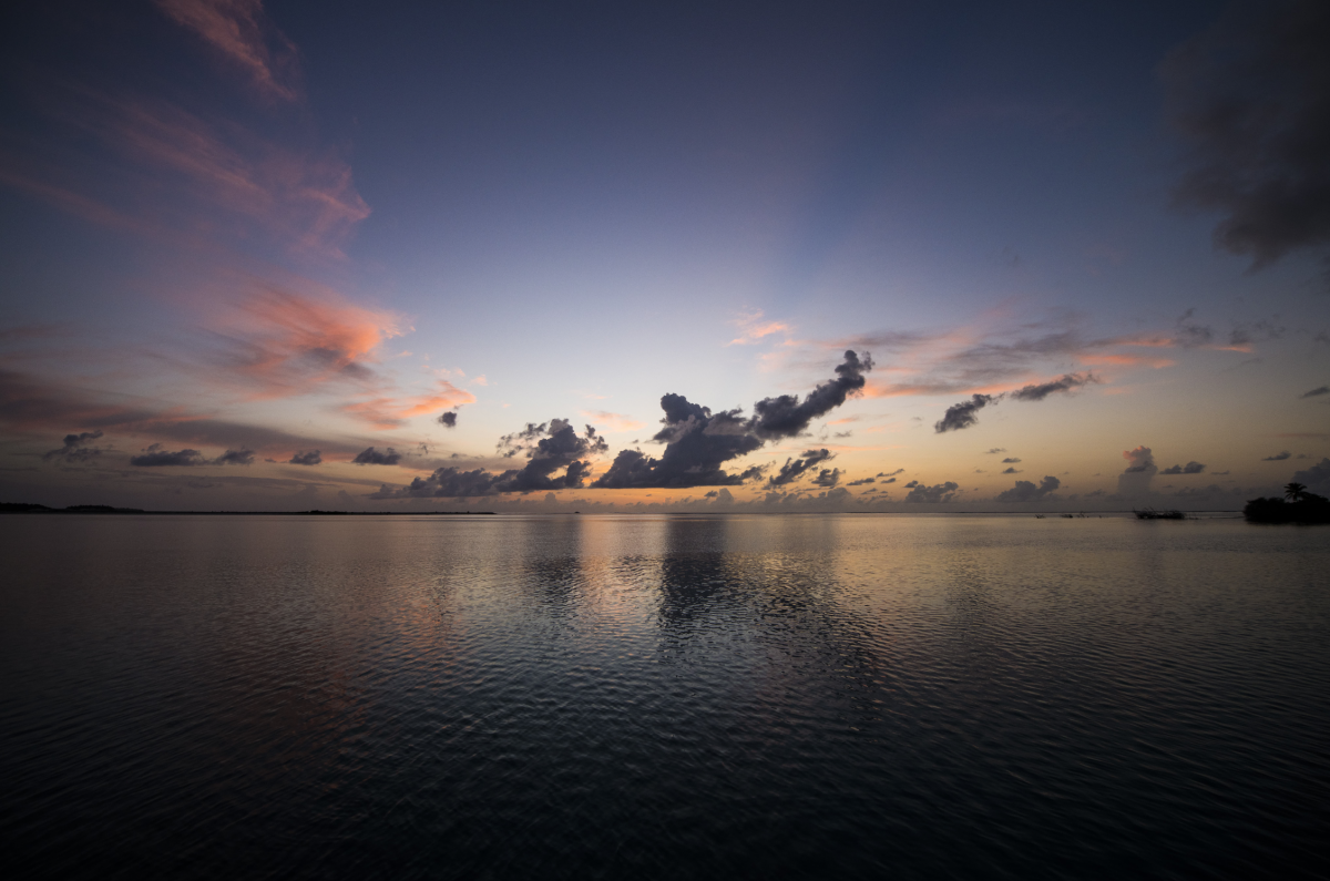 Mighty Otter Sunrise