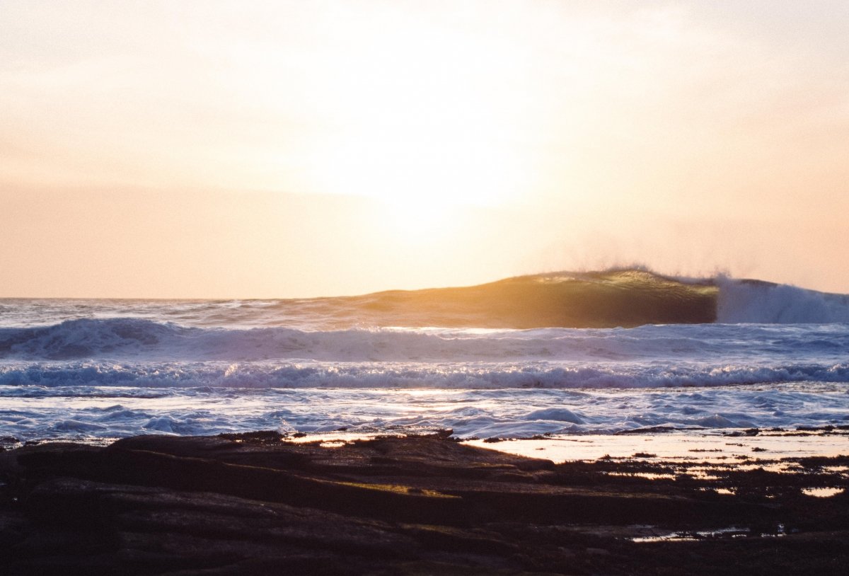 Patagonia Yulex Trip Brims Ness
