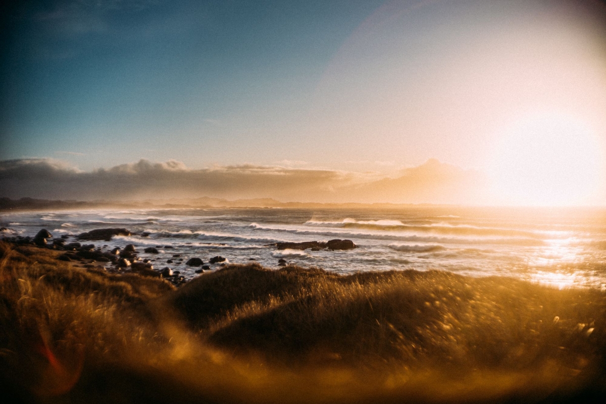 Rediscover German Surf Film
