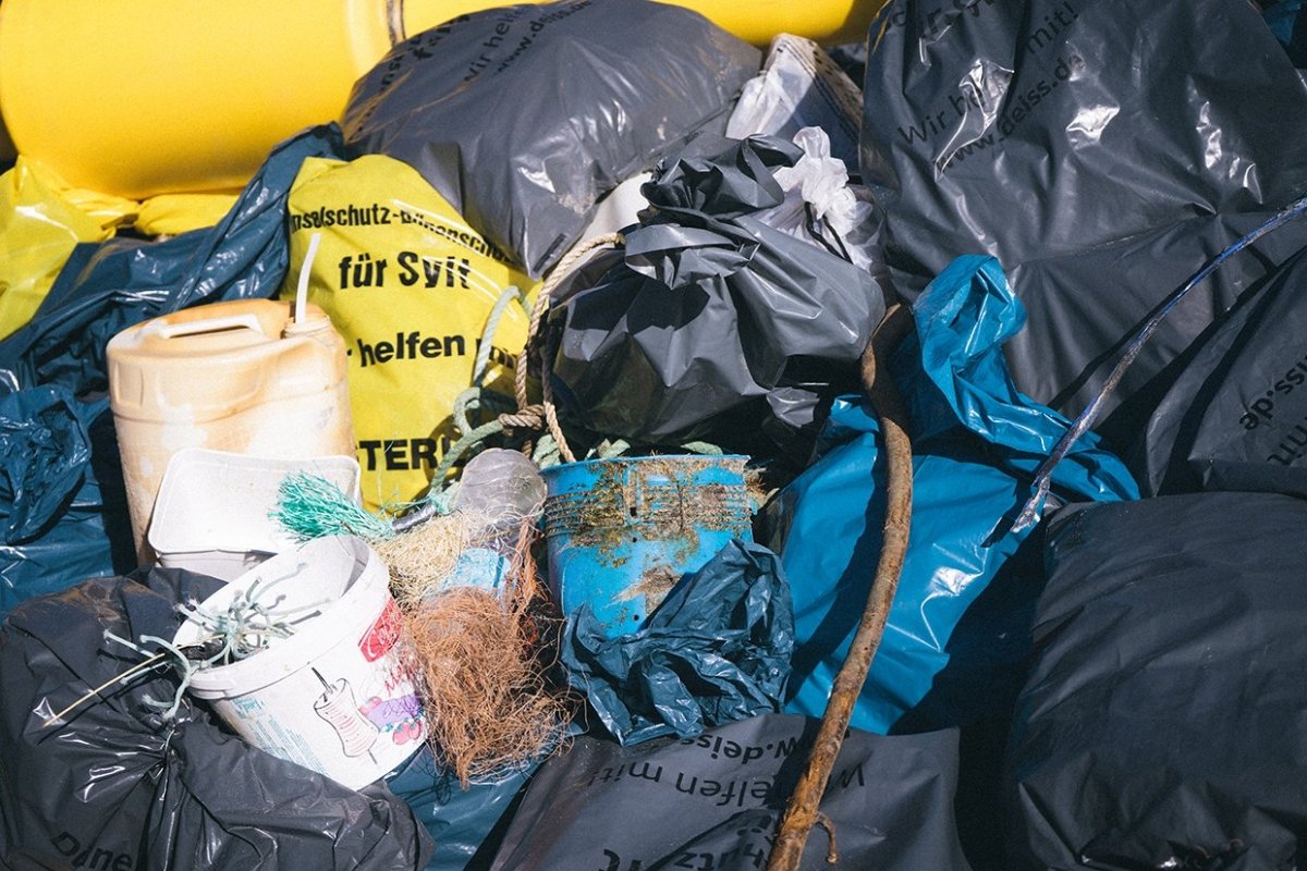 Scs Clean Up Sylt