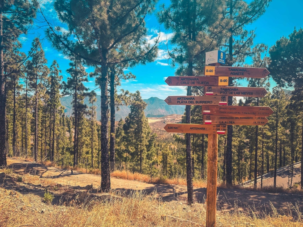 Gran Canaria Route 1 Artenara Through Historic Pine Forests