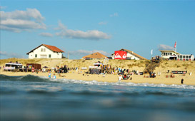 DM_2011_thumb