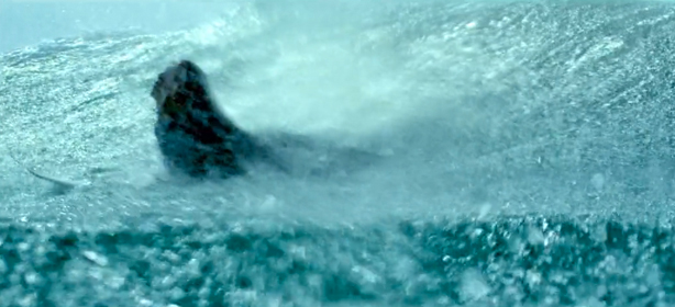 O'Neill Unreasonable Aloha Nalu