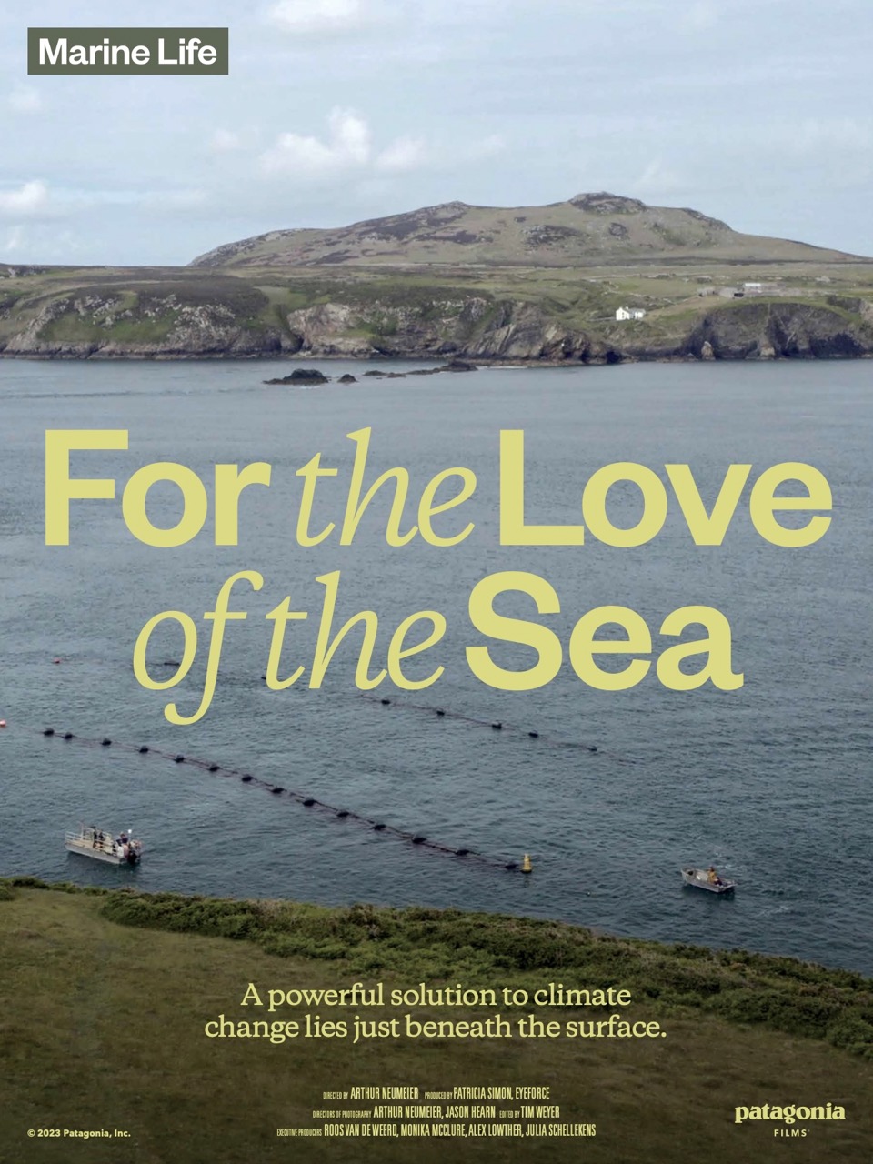 For The Love Of The Sea 1