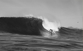 north_thumb