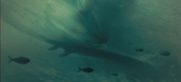 Endless Ocean Unreasonable Surf Film Festival